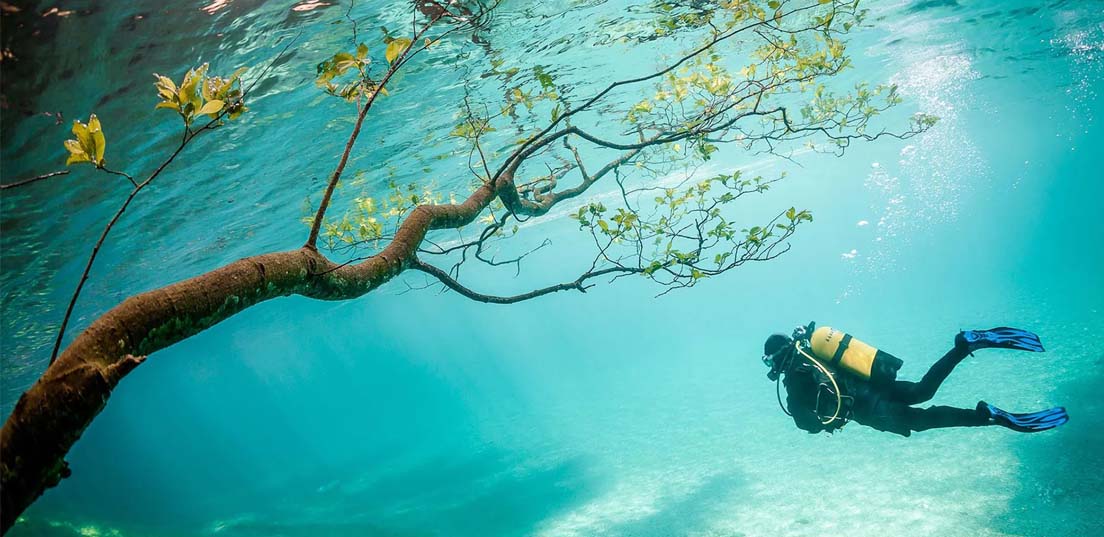 عکاسی زیر آب